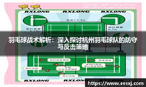 羽毛球战术解析：深入探讨杭州羽毛球队的防守与反击策略